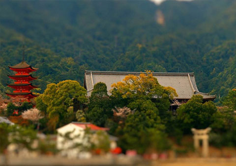 召開(kāi)南京益夫慶祝新年晚會(huì )-2018.2.2